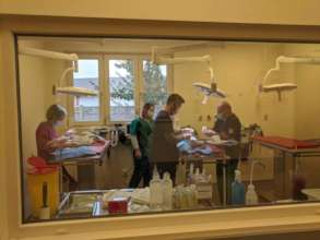 More spays are requested daily