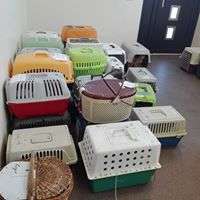 Spay Shuttle brings in cats from villages for spay