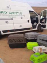 Spay Shuttle brings cats from Galati to Center