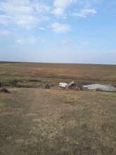 Spay Shuttle picking up Galati cats