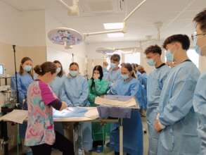 Educating new vets on spay/neuter