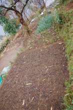 Agriculture in Schools demonstration garden