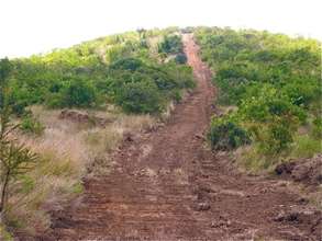 The firebreak protecting the preserve