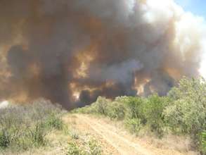 A wildfire tests the firebreak