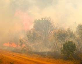 Another photo of the wildfire