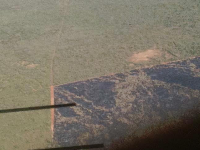 Save Kenyan Elephants with 300km of Firebreaks