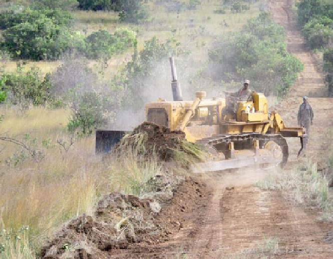 Save Kenyan Elephants with 300km of Firebreaks