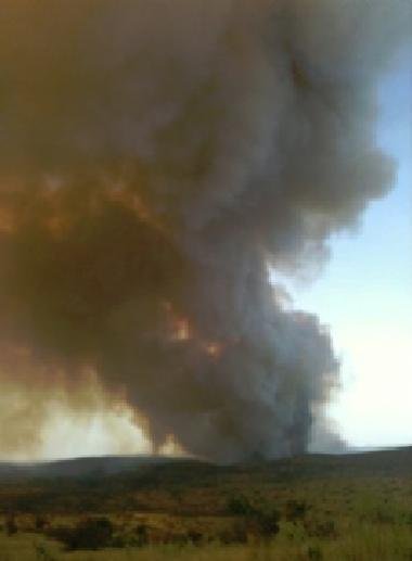 Save Kenyan Elephants with 300km of Firebreaks