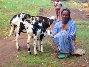 Belaynesh Alemu