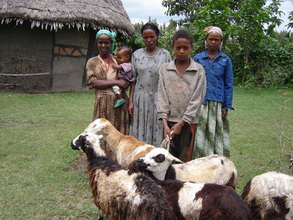 Asset Building Group with livestock