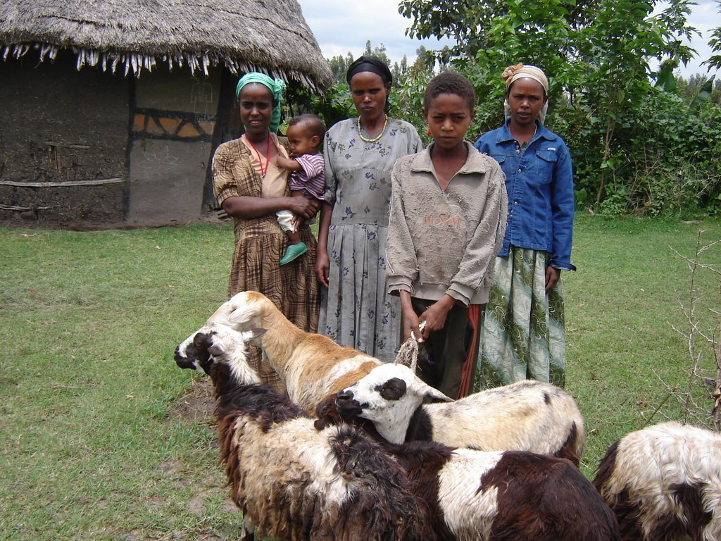Help Rural Ethiopians Improve Access to Water