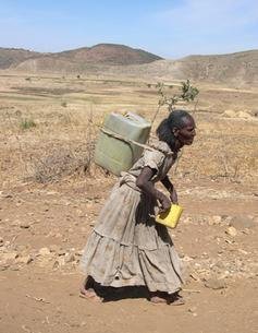 Help Rural Ethiopians Improve Access to Water