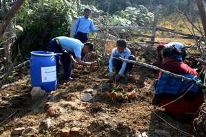 Bandipur Herbal Garden - Extension