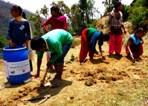 Working for herbal garden development