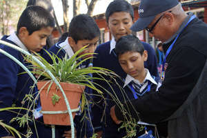 Interacting with Students on Herbs