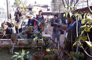 Observing Herbal Garden in School