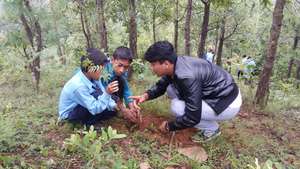 Preserving Environment Through Plantation