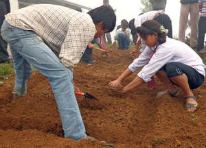 Student observing & keen to work on herbal garden.