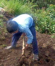 Students towards preparation of Herbal Garden