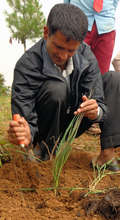 Mr. Ram (Teacher)-working to develop Herbal Garden