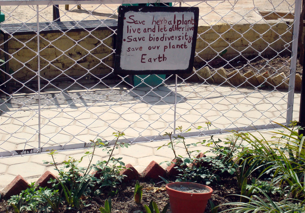 Herbal Garden Education for Students In Nepal