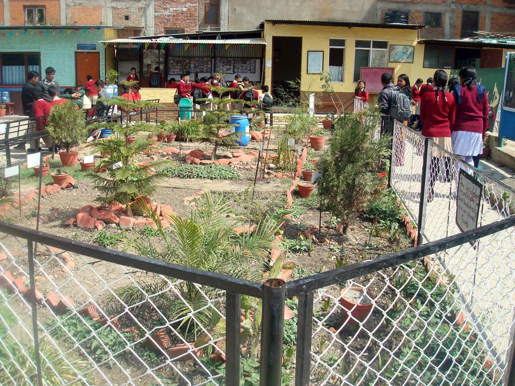 Herbal Garden Education for Students In Nepal