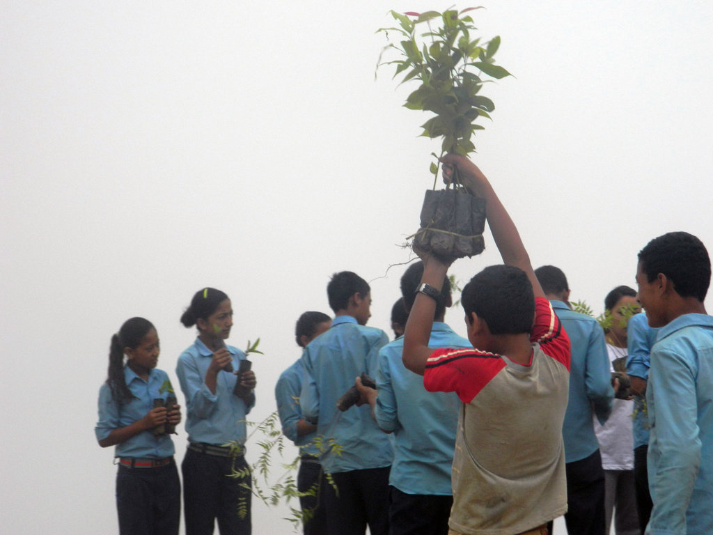 Herbal Garden Education for Students In Nepal