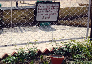 Herbal Garden Slobgan by Students