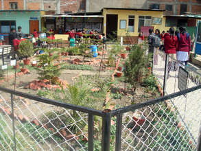 Herbal Garden at Aims School
