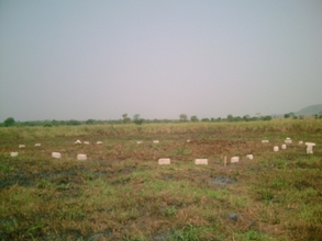 Site for library foundation