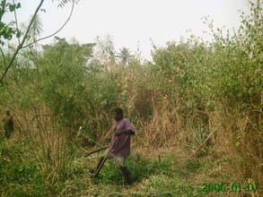 Photo 1-- clearing land