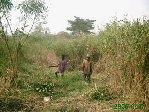 Photo 2-- clearing land