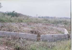 library foundation-2