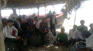 Sutrapada fishermen have reported sighting 4 pups