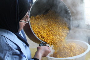Protein boost: lupini and garbanzo beans