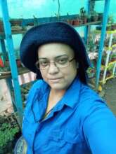 Heydis Nursery Business