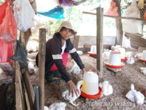 Josefina showing her chickens babies