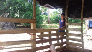 Pig pen built by Meilly & her family