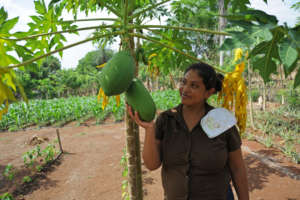 Ana uses drip irrigation to grow food year-round