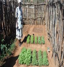 Mrs. Muzenda admiring her nursery