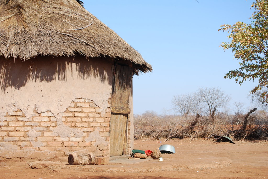 Goats and Training for Daya and her siblings