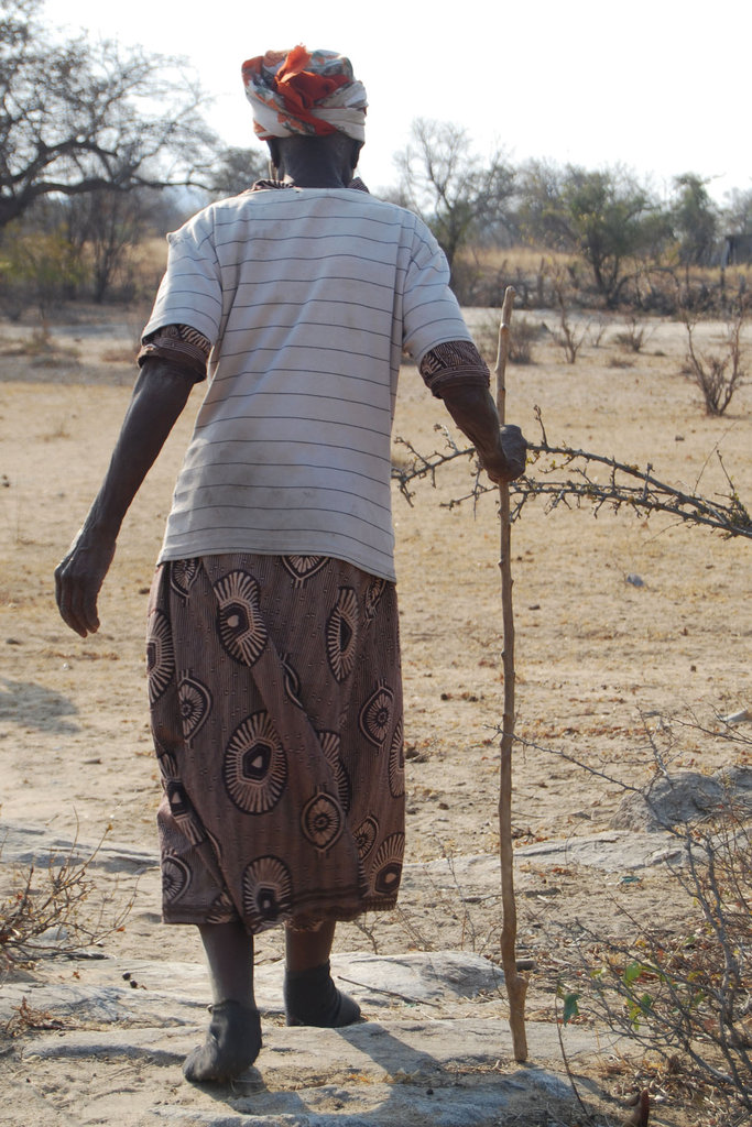 Goats and Training for Daya and her siblings