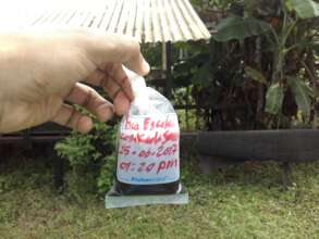 Water test results while Serapio was not in charge