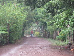 Freddy taking a stroll in Cruz Verde