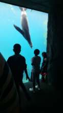 And then we went to the zoo!