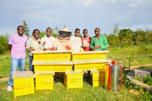 Apiary Team