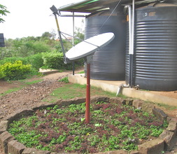 The reclaimed space around the dish