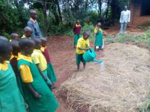 Students Planting Moringa Seeds