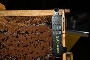Sensor in Hive