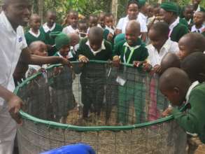 Composting System